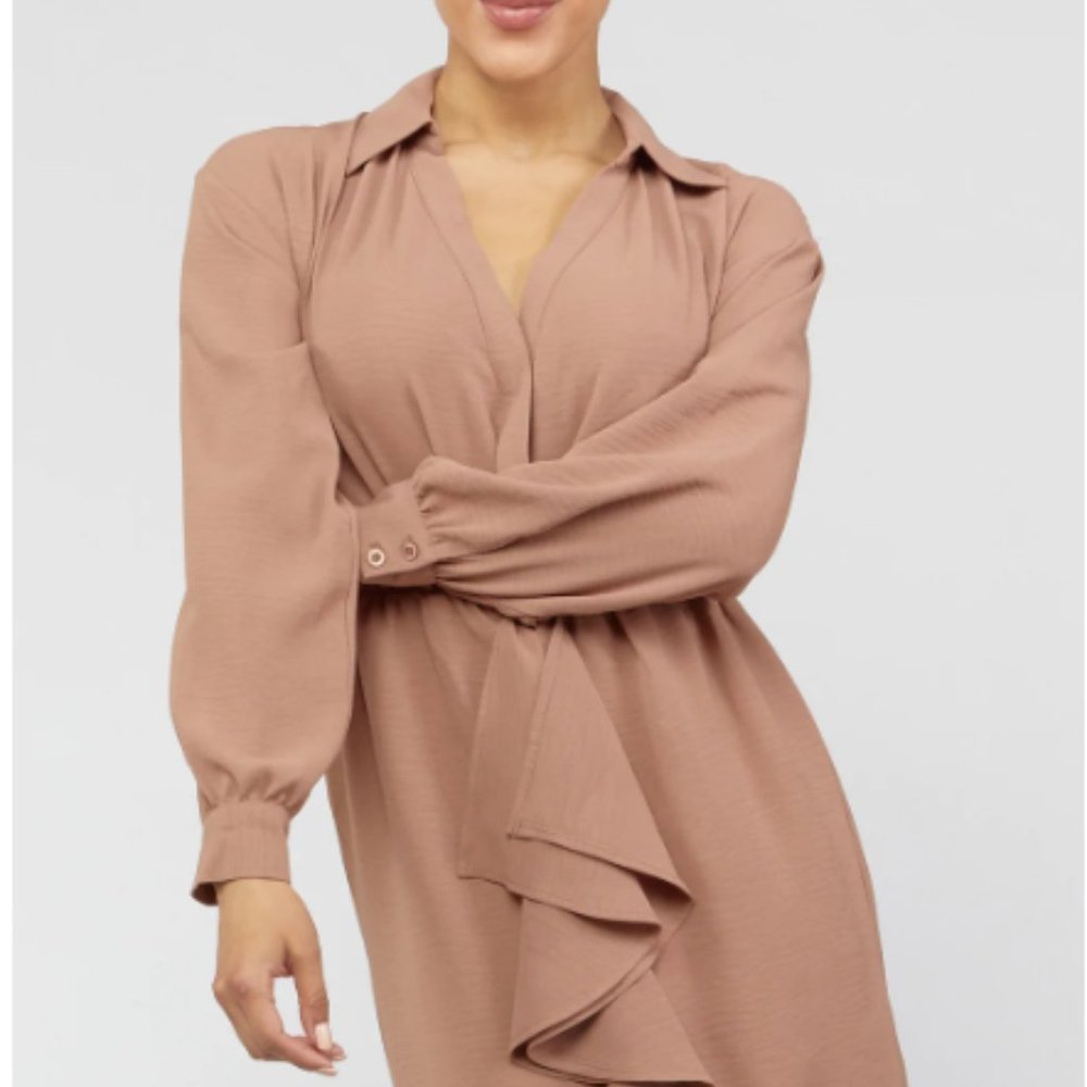 NWT Collared Shirt Mini Dress - Picture 4 of 6